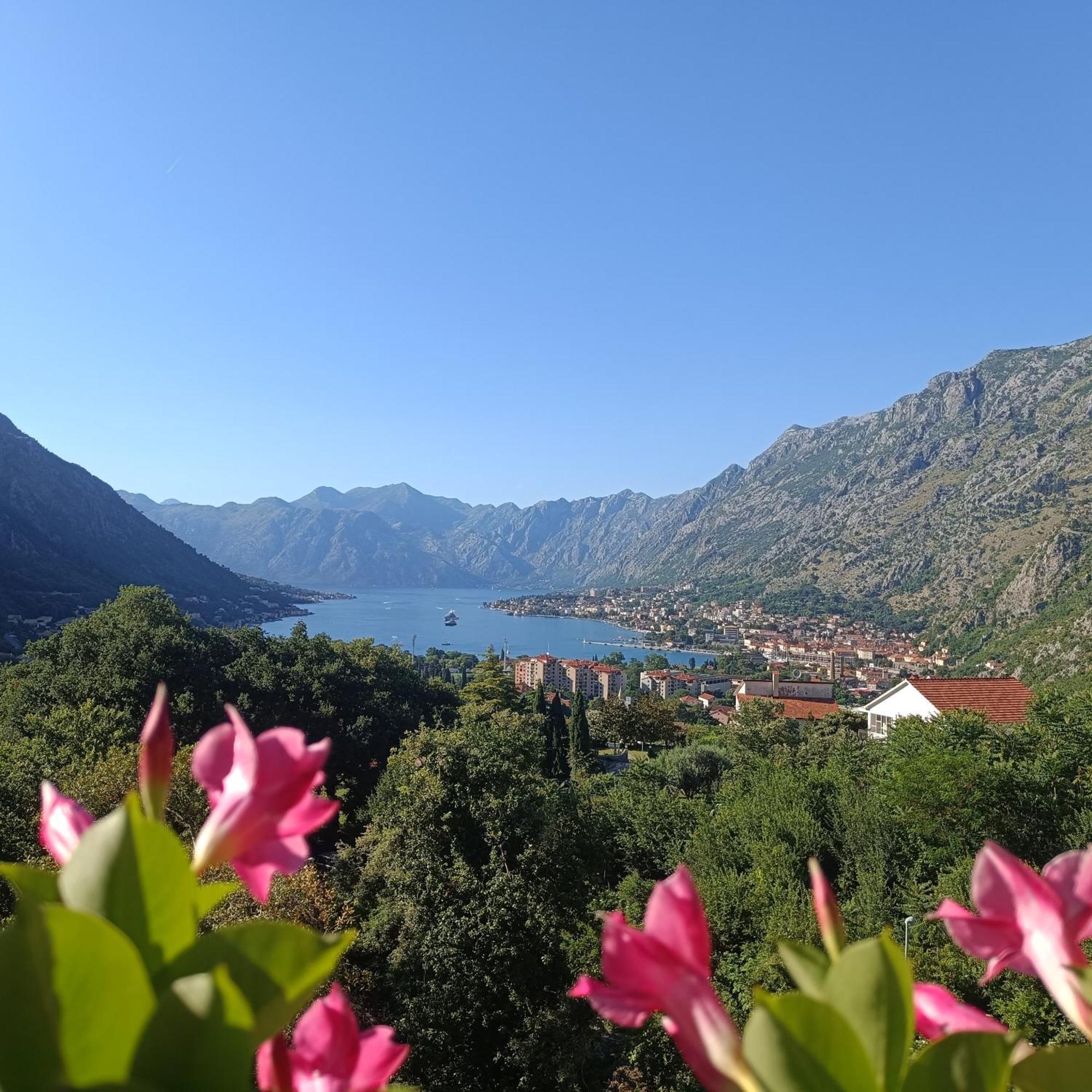 Radgost Kotor Apartments ภายนอก รูปภาพ